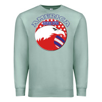 Seafoam America Since 1776 Premium Sweatshirt - Bettercallsaul