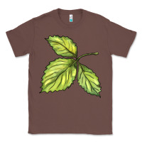 Chestnut green leaf Classic Tee - BarkalooDesign