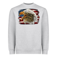 American Flag Eagle Heavyweight Sweatshirt | Teevron