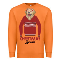 Carrot Christmas Labrador Premium Sweatshirt - Bettercallsaul