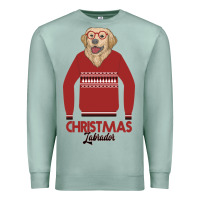 Seafoam Christmas Labrador Premium Sweatshirt - Bettercallsaul