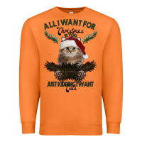 Carrot All I Want For Christmas Is You Just Kidding I Want Cats Premium Sweatshirt - Bettercallsaul