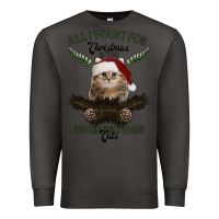 Smoke All I Want For Christmas Is You Just Kidding I Want Cats Premium Sweatshirt - Bettercallsaul