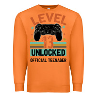 Carrot Level 13 Unlocked Official Teenager 13th Birthday Premium Sweatshirt - Bettercallsaul