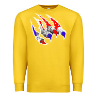 Lemon American Flag Claw Premium Sweatshirt - Bettercallsaul
