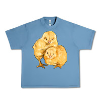 Pebble Blue chicks Urban Heavy Tee - Artiststas