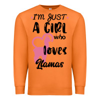 Carrot Just A Girl Who Loves Llamas I Love Llamas Premium Sweatshirt - Bettercallsaul
