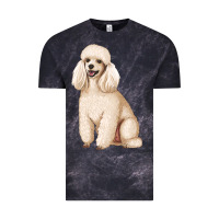 Cloud Black standart poodle Vintage Tee - Artiststas