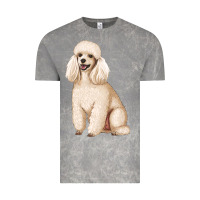 Cloud Rock standart poodle Vintage Tee - Artiststas