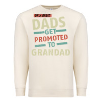 Sandshell Only Great Dads Get Promoted To Grandad Premium Sweatshirt - Bettercallsaul