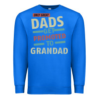 True Royal Only Great Dads Get Promoted To Grandad Premium Sweatshirt - Bettercallsaul