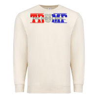 Sandshell Trump 2020 Premium Sweatshirt - Bettercallsaul