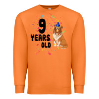 Carrot 9 Years Old Premium Sweatshirt - Bettercallsaul