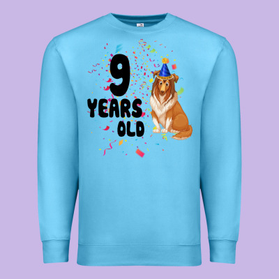 9 Years Old Premium Sweatshirt Designed By Bettercallsaul