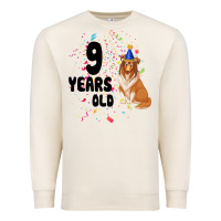 Sandshell 9 Years Old Premium Sweatshirt - Bettercallsaul
