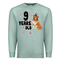 Seafoam 9 Years Old Premium Sweatshirt - Bettercallsaul