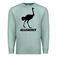 Seafoam ALLEGEDLY FUNNY OSTRICH Premium Sweatshirt - Bettercallsaul