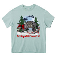 Arona greetings of the season y'all with armadillo Heavy Core Tee - BarkalooDesign