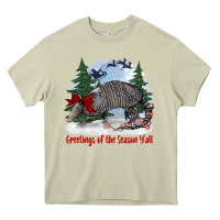 Greetings Of The Season Y'all With Armadillo Heavy Core Tee | Teevron