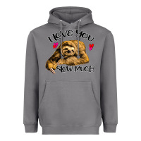 Storm Valentine Sloth, I Love You Slow Much Heavyweight Hoodie - Bettercallsaul