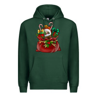 Sports Green Chrismas Santa claus bag Premium Hoodie - NancyCooperArtShop