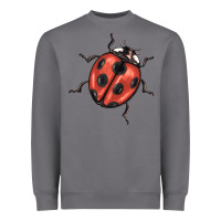 Storm ladybug Heavyweight Sweatshirt - BarkalooDesign