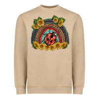 Ladybuy  Rainbow Heavyweight Sweatshirt | Teevron