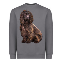 Storm Boykin Spaniel Dog Heavyweight Sweatshirt - LillyAllenDesigns