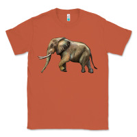 Copper Elephant Classic Tee - LillyAllenDesigns