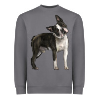 Storm Boston Terrier Heavyweight Sweatshirt - LillyAllenDesigns