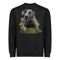 Black Texas Blue Lacy Dog Heavyweight Sweatshirt - LillyAllenDesigns