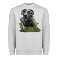 Heather Grey Texas Blue Lacy Dog Heavyweight Sweatshirt - LillyAllenDesigns