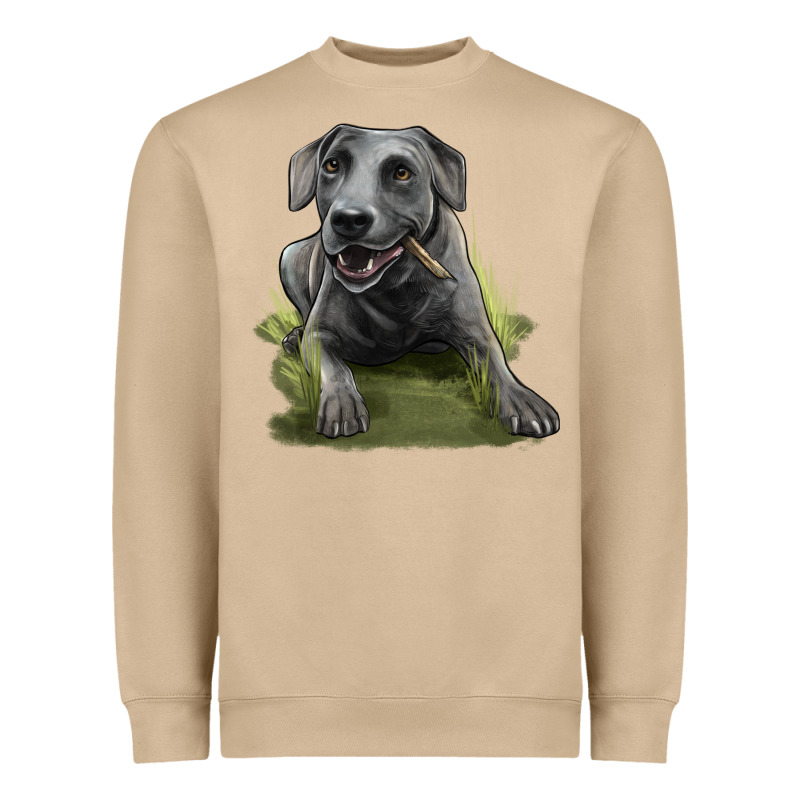 Texas Blue Lacy Dog Heavyweight Sweatshirt by LillyAllenDesigns | Teevron