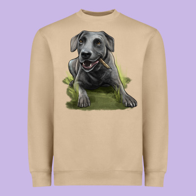 Texas Blue Lacy Dog Heavyweight Sweatshirt Designed By Lillyallendesigns