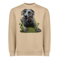 Mushroom Texas Blue Lacy Dog Heavyweight Sweatshirt - LillyAllenDesigns