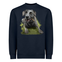 Navy Texas Blue Lacy Dog Heavyweight Sweatshirt - LillyAllenDesigns