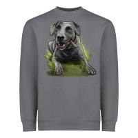 Storm Texas Blue Lacy Dog Heavyweight Sweatshirt - LillyAllenDesigns