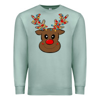 Seafoam Rudolph Premium Sweatshirt - Bettercallsaul
