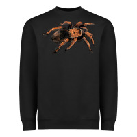 Black Mexican Red Knee Tarantula Heavyweight Sweatshirt - LillyAllenDesigns