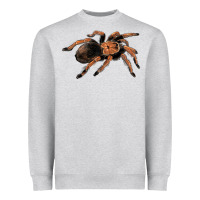 Heather Grey Mexican Red Knee Tarantula Heavyweight Sweatshirt - LillyAllenDesigns