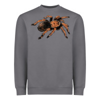 Storm Mexican Red Knee Tarantula Heavyweight Sweatshirt - LillyAllenDesigns