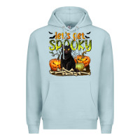 Blue Mist Let's Get Spooky Premium Hoodie - texasbilliewilder