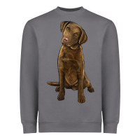 Storm chesapeake bay retriever Heavyweight Sweatshirt - LillyAllenDesigns