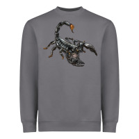 Storm scorpion Heavyweight Sweatshirt - LillyAllenDesigns