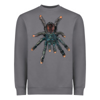 Storm Pink Toe Tarantula Heavyweight Sweatshirt - LillyAllenDesigns