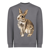 Storm Rabbit Heavyweight Sweatshirt - LillyAllenDesigns