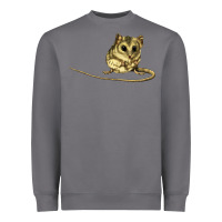 Storm Dunnart Heavyweight Sweatshirt - LillyAllenDesigns