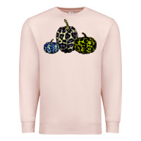 Pale Pink pumpkin Premium Sweatshirt - Bettercallsaul