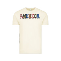 Vintage Arctic america 4th of july Vintage Tee - Artiststas