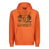 Carrot thankful for my gnomies Premium Hoodie - NancyCooperArtShop